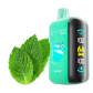 Elf Bar Raya D3 25000 Alpine Mint (Альпійська М'ята)