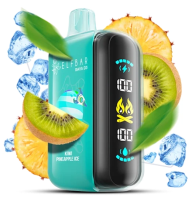 Elf Bar Raya D3 25000 Kiwi Pineapple Ice (Ківі Ананас Лід)
