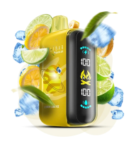 Elf Bar Raya D3 25000 Lemon Lime Ice (Лимон Лайм Лід)