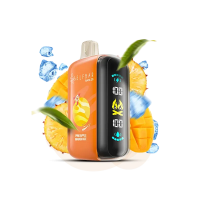 Elf Bar Raya D3 25000 Pineapple Mango Ice (Ананас Манго Лід)