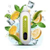 Flonq MAX SMART 12000 Lemon Mint (Лимон М'ята)