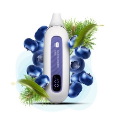 Flonq MAX SMART 12000 Sour Blueberry Juice (Кислий Чорничний Сік)