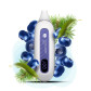 Flonq MAX SMART 12000 Sour Blueberry Juice (Кислий Чорничний Сік)