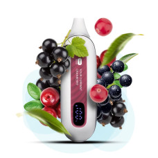 Flonq MAX SMART 12000 Sour Currant Cranberry (Кисла Смородина з Журавлиною)