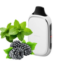 Flonq ROQY 40000 Blackberry Mint (Ожина М'ята)