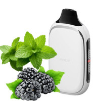 Flonq ROQY 40000 Blackberry Mint (Ожина М'ята)